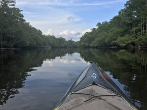 Paddling The Little Pee Dee River